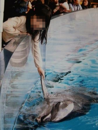 水族館に行ってきた! 水族館に行ってきた!