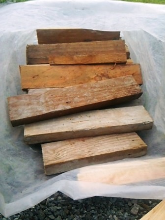 お盆休みの締めくくりは 突然の新富士オートキャンプ場 お盆休みの締めくくりは 突然の新富士オートキャンプ場