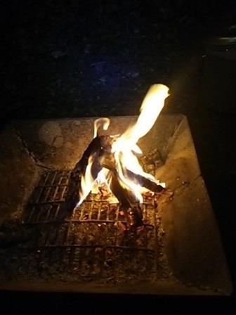 パディントンベアキャンプグランド その2 パディントンベアキャンプグランド その2