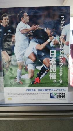 ワイルド・・・ ワイルド・・・