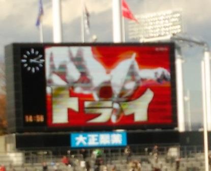 ワイルド・・・ ワイルド・・・