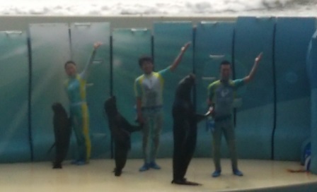 水族館に行ってきた! 水族館に行ってきた!