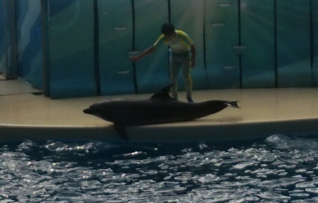 水族館に行ってきた! 水族館に行ってきた!