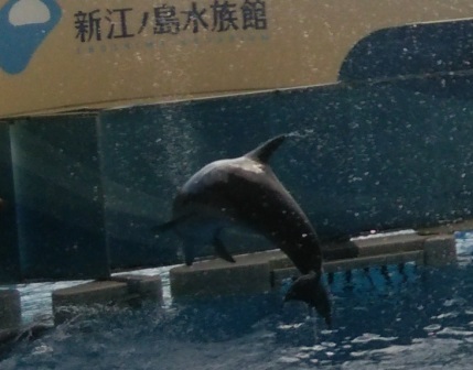 水族館に行ってきた! 水族館に行ってきた!