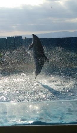 水族館に行ってきた! 水族館に行ってきた!