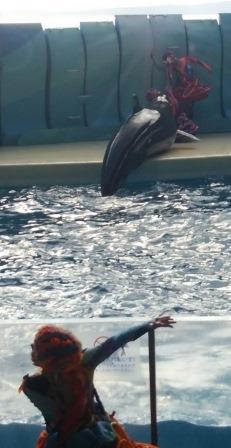 水族館に行ってきた! 水族館に行ってきた!