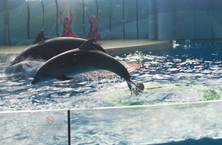 水族館に行ってきた! 水族館に行ってきた!