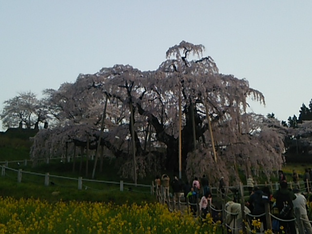 今ここ 今ここ