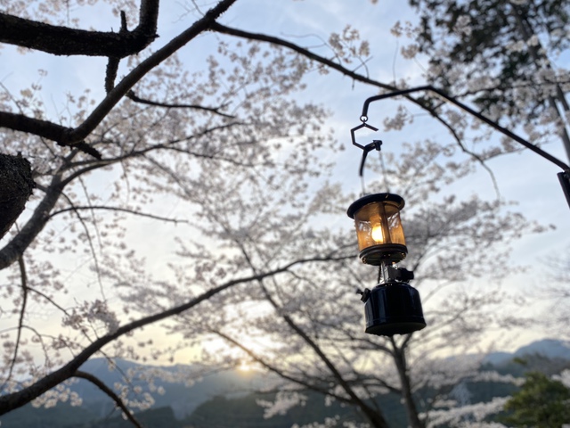 2023-⑥【露営録】桜満開のお花見キャンプ さるびの温泉SOUZONEデッキサイト 2023-⑥【露営録】桜満開のお花見キャンプ さるびの温泉SOUZONEデッキサイト