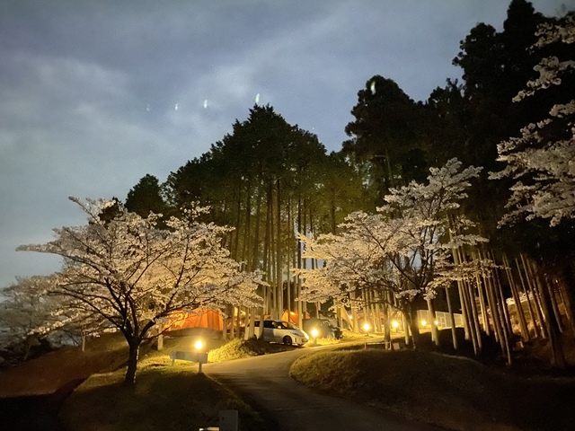 2023-⑥【露営録】桜満開のお花見キャンプ さるびの温泉SOUZONEデッキサイト 2023-⑥【露営録】桜満開のお花見キャンプ さるびの温泉SOUZONEデッキサイト