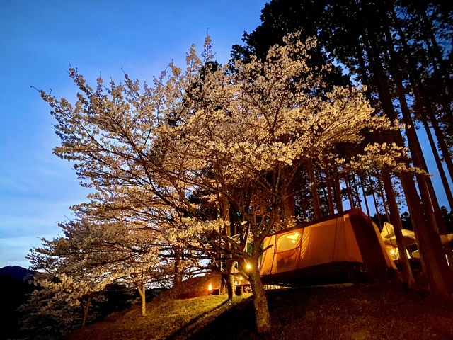 2023-⑥【露営録】桜満開のお花見キャンプ さるびの温泉SOUZONEデッキサイト 2023-⑥【露営録】桜満開のお花見キャンプ さるびの温泉SOUZONEデッキサイト