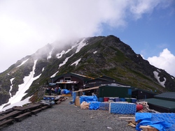 北岳へ、キタダケソウを見てきました、2015年6月25日(2)