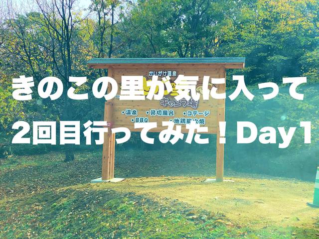 きのこ2回目26 きのこ2回目26
