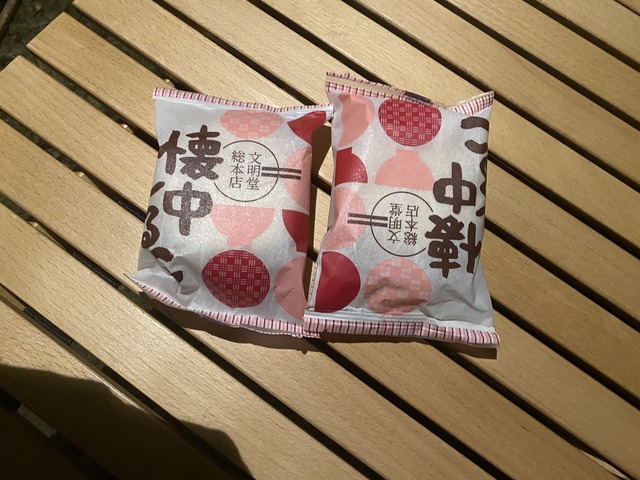 きのこ2回目9 きのこ2回目9