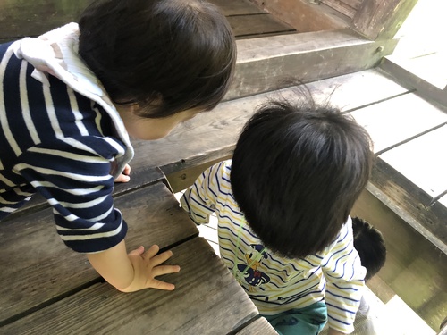 ばるんばるんつりーはうす3 ばるんばるんつりーはうす3