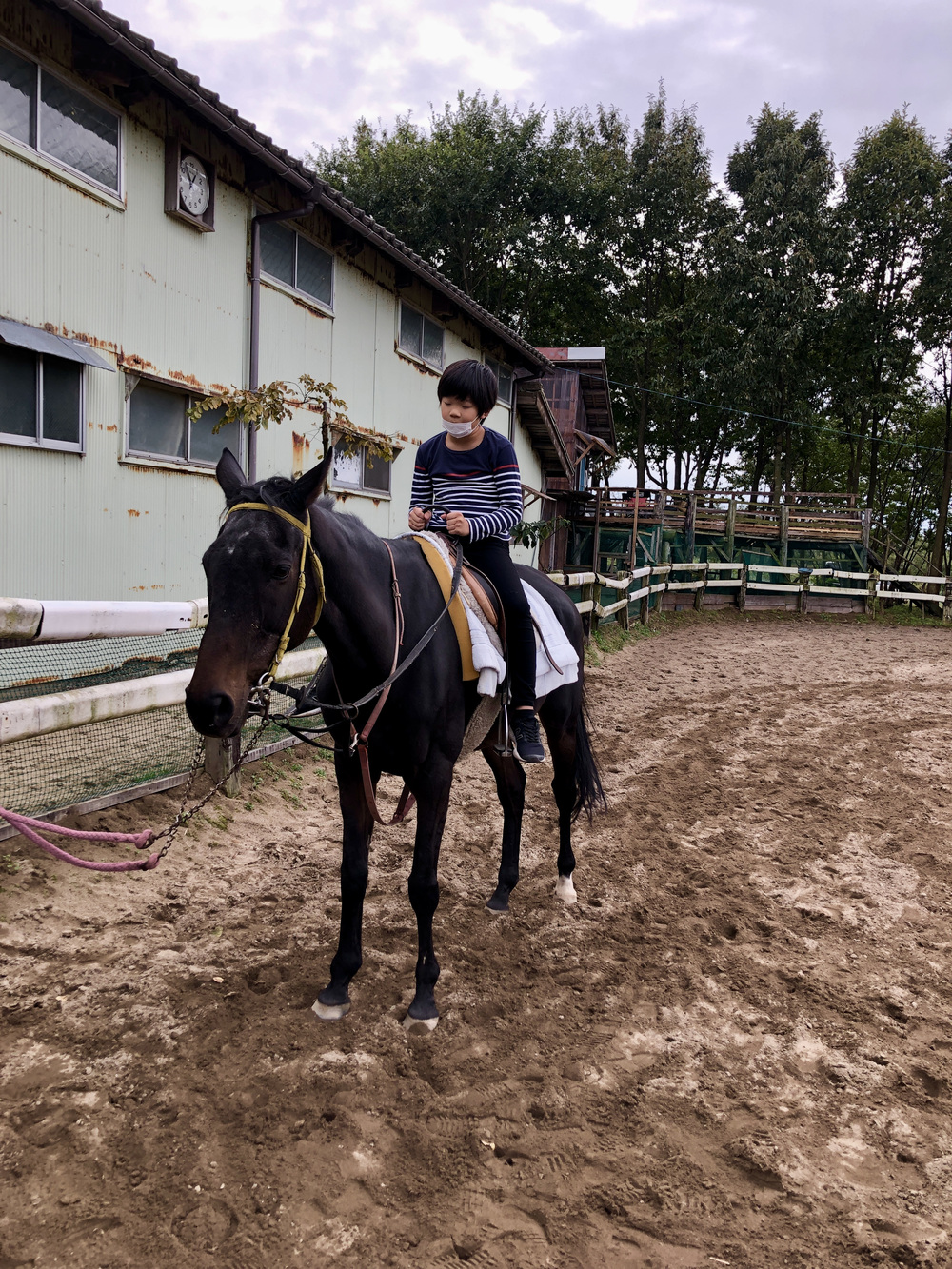 お馬さんに乗れるキャンプ場に行って来た! お馬さんに乗れるキャンプ場に行って来た!