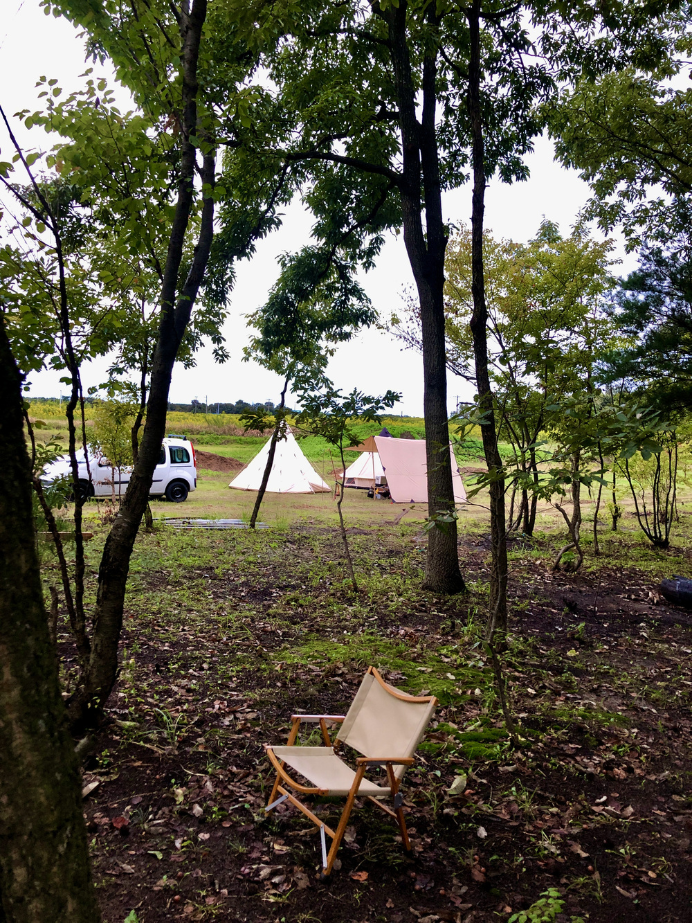 お馬さんに乗れるキャンプ場に行って来た! お馬さんに乗れるキャンプ場に行って来た!