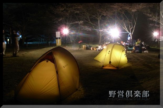 夜桜の下で・・・