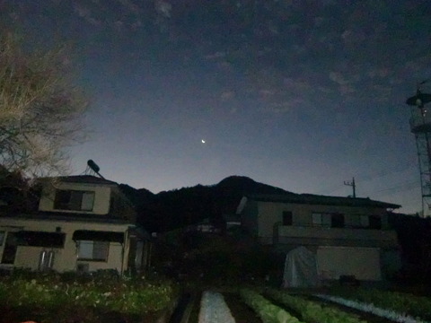 2011/11/23 ちょこっと山歩。九鬼山