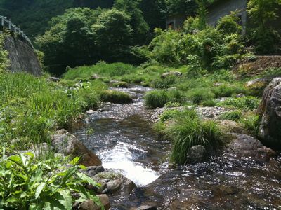 養沢毛鉤専用釣場6月6日