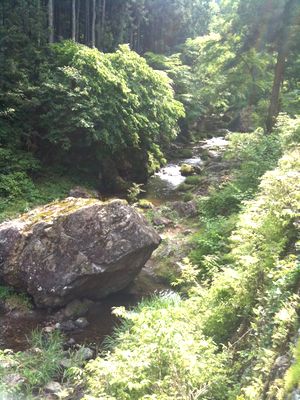 養沢毛鉤専用釣場6月6日
