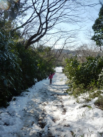 雪山ハイク@大丸山