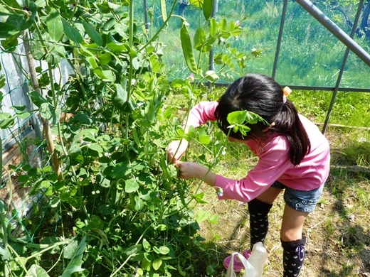 2013GWキャンプ@ezBBQcountry(5/4/編)