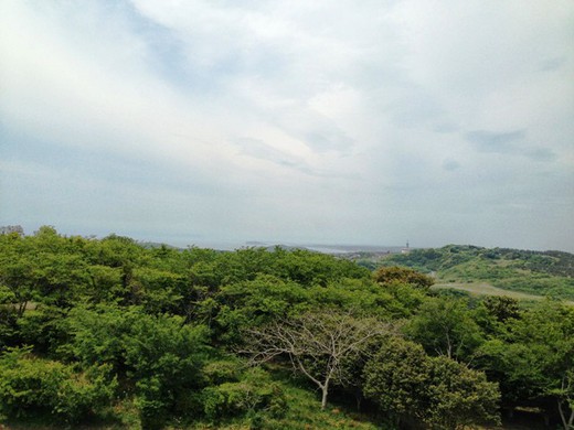三浦半島最高峰へ@大楠山