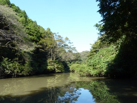 瀬上の森ハイキング