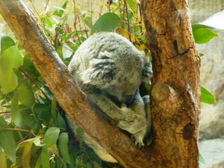 金沢動物園ハイキング