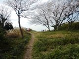 鎌倉・衣張山ハイキング