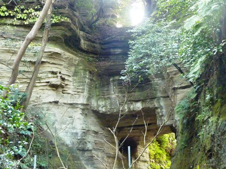 鎌倉・衣張山ハイキング