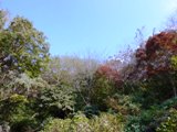 鎌倉・衣張山ハイキング