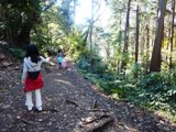 鎌倉源氏山ハイキング