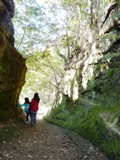 2012鎌倉・天園ハイキング