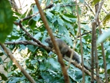 2012鎌倉・天園ハイキング