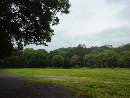 ホウリーウッズ久留里キャンプ村(千葉県)