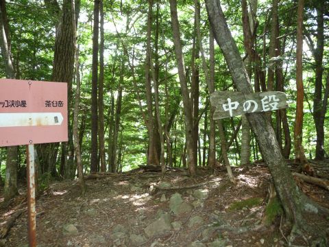 訓練ですってば