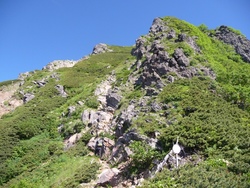 赤岳（真教寺、県界尾根）登山、2010年7月24日(4)