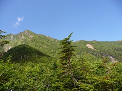 赤岳（真教寺、県界尾根）登山、2010年7月24日(5)