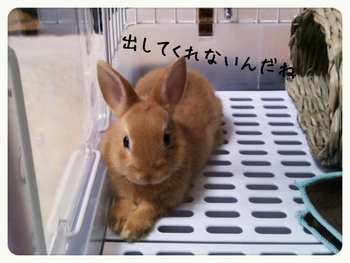 日々のこと