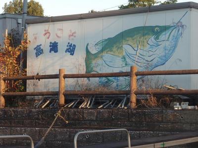 ワカパイ狙って