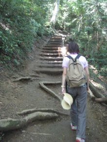 妻と一緒に初めての高尾山