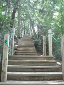 妻と一緒に初めての高尾山