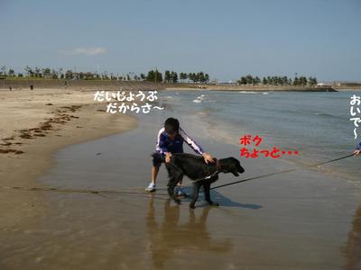 おにいちゃんと海