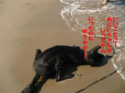 おにいちゃんと海