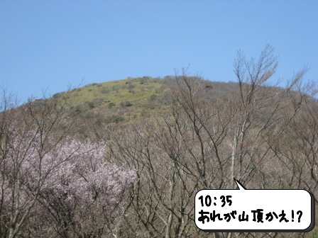 竜ヶ岳