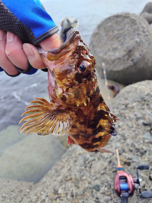 穴釣り、25センチ 穴釣り、25センチ