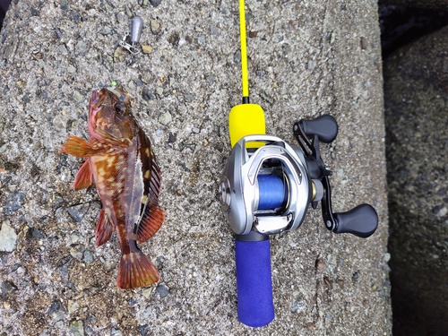 穴釣り、ダイソーロッド 穴釣り、ダイソーロッド