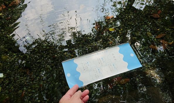 帰路の途中下車 帰路の途中下車
